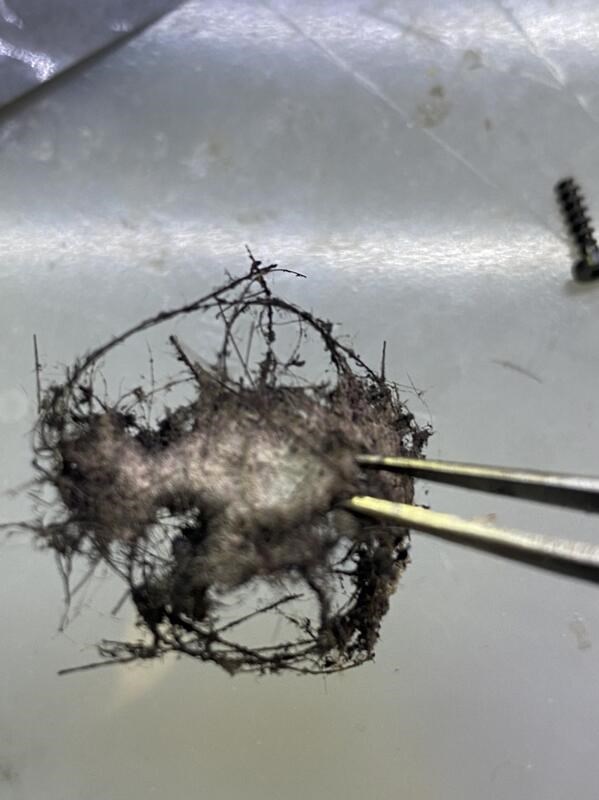 高雄吹風機維修 Dyson HS01 捲髮器 美髮造型器 維修 戴森 Hd01 Hd03 清潔保養 舊換新 高雄巨蛋